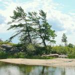 Georgian Bay Pines